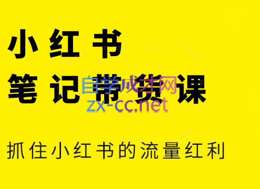 张宾·小红书笔记带货课(更新4月)-清风