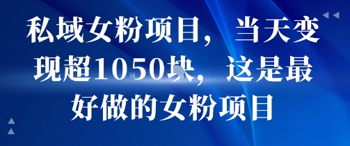 私域女粉项目，当天变现超1k，这是最好做的女粉项目，可放大操作-清风