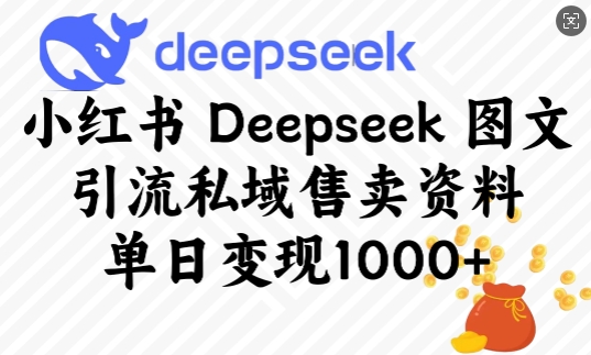 小红书Deepseek图文引流私域售卖资料，单日变现多张-清风