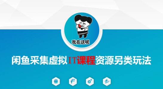 闲鱼采集虚拟IT课程资源另类玩法，干货满满-清风