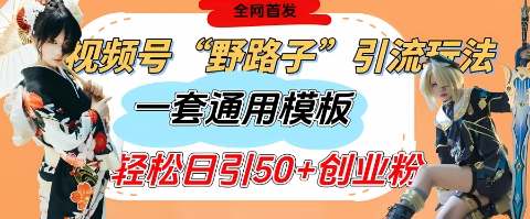 视频号“野路子”玩法，评论区疯狂截流，一套模板单日单号引流50+创业粉-清风