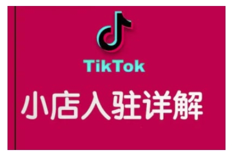 TikTok跨境小店运营全攻略，帮助你独立运营TK跨境小店的能力，实现销量增长-清风