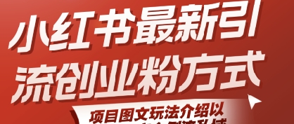 小红书最新引流创业粉方式，项目图文玩法介绍以及如何安全倒流私域-清风
