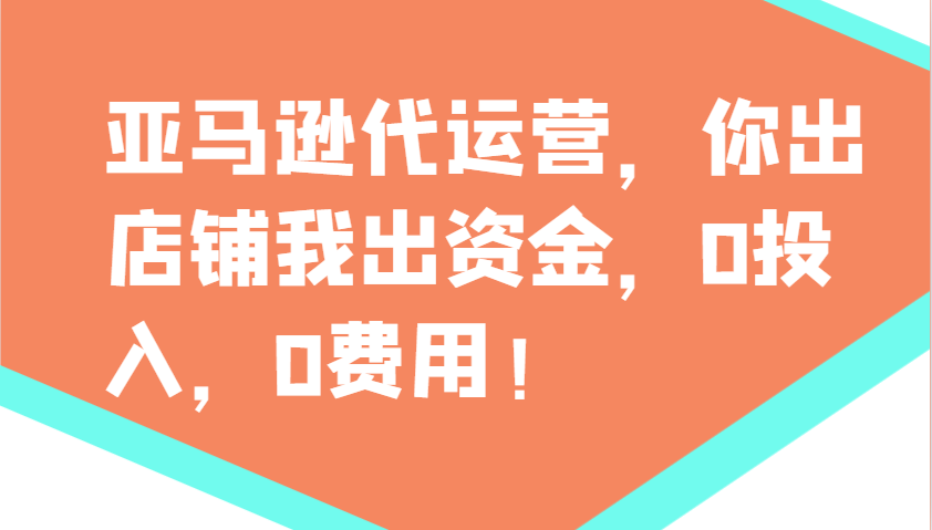 亚马逊代运营，你出店铺我出资金，0投入，0费用，无责任每天300分红，赢亏我承担-清风