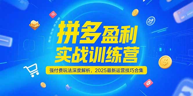 拼多多盈利实战训练营，强付费玩法深度解析，2025运营技巧合集-更新6月-清风