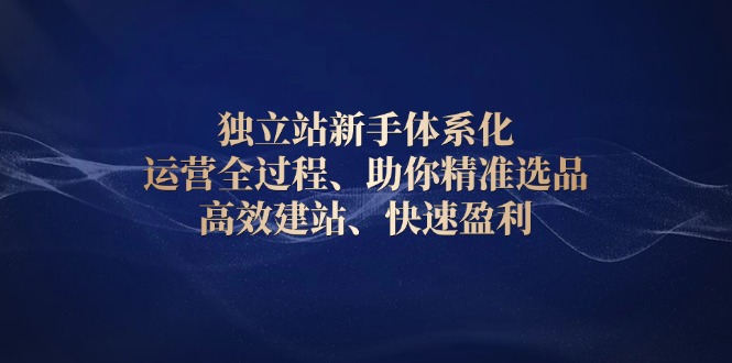独立站新手体系化 运营全过程，助你精准选品、高效建站、快速盈利-清风