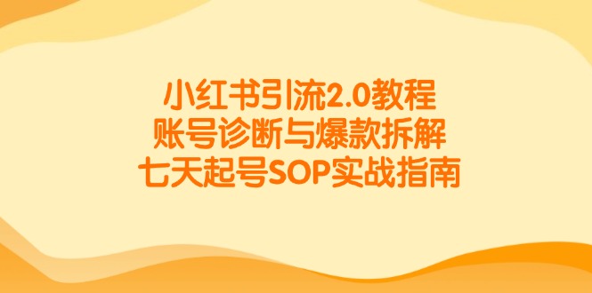 小红书引流2.0教程，账号诊断与爆款拆解，七天起号SOP实战指南-清风