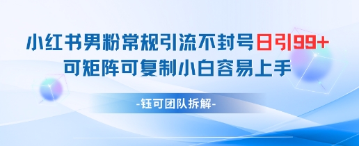 小红书男粉常规引流不封号日引99+变现简单 可矩阵可复制小白容易上手-清风