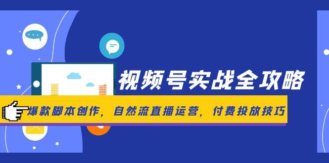 视频号实战全攻略，爆款脚本创作，自然流直播运营，付费投放技巧-清风