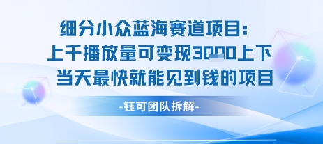 小众蓝海赛道项目：当天变现1k+适合新手操作 +适合长期玩-清风