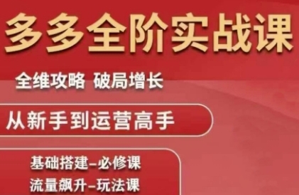 拼多多全阶实战课程，全维攻略，破局增长，从新手到运营高手-清风