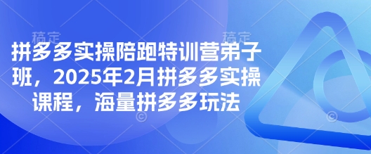 拼多多实操陪跑特训营弟子班，2025年2月拼多多实操课程，海量拼多多玩法-清风
