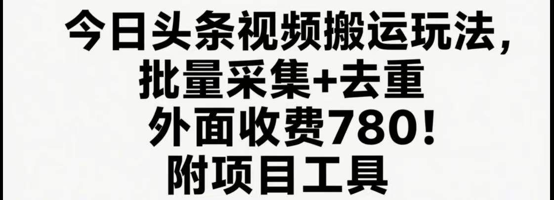 今日头条视频搬运玩法，软件一键去重，轻松日入500+附项目工具-清风