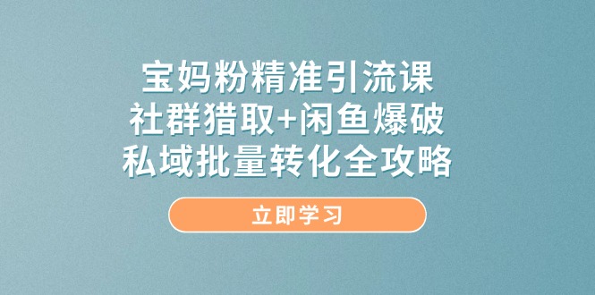 宝妈粉精准引流课，社群猎取+闲鱼爆破，私域批量转化全攻略-清风