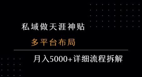 私域做天涯神贴 多平台布局 月入5k+详细流程拆解-清风