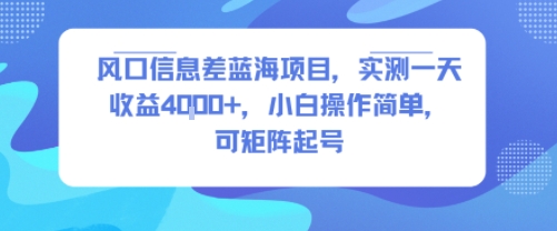 风口信息差蓝海项目，实测一天收益4k+，小白操作简单，可矩阵起号-清风