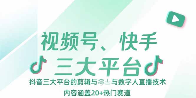 视频号、快手、抖音三大平台的剪辑与数字人直播技术，内容涵盖20+热门赛道-清风