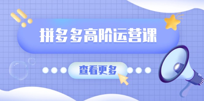 拼多多高阶运营课：极致群爆款玩法，轻付费无尽复制，打造单品爆款之路-清风