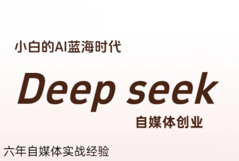 冰冰老师·普通人如何利用Deepseek创业-清风