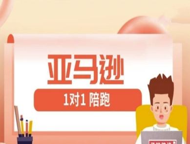 亚马逊1对1陪跑课(FBA/FBM精铺)跨境亚马逊教程-清风