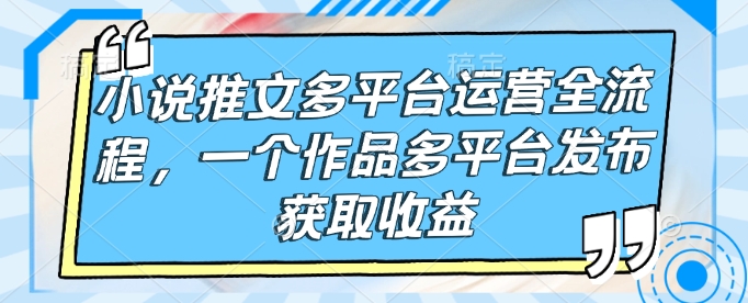 小说推文多平台运营全流程，一个作品多平台发布获取收益-清风