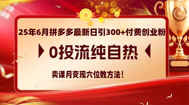 25年6月拼多多最新日引300+付费创业粉，0投流纯自热 卖课月变现六位数方法-清风