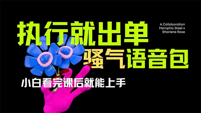 爆火全网的开车导航骚气语音包,只要执行就出单，小白看完课程就能实操…-清风