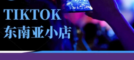 Tiktok东南亚跨境小店运营班，一门专业的TK小店运营培训课-清风