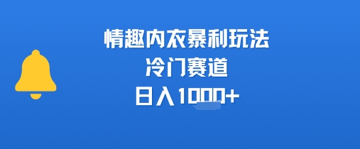 情趣内衣暴利玩法，冷门赛道，日入1k+-清风
