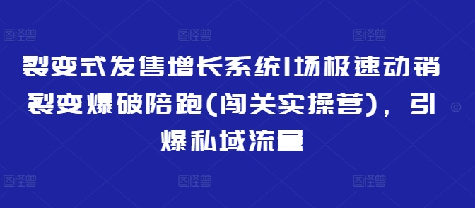 裂变式发售增长系统1场极速动销裂变爆破陪跑(闯关实操营)，引爆私域流量-清风