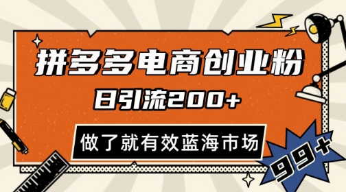 拼多多引流电商创业粉，日引200+，可矩阵放大，做了就有效【揭秘】-清风