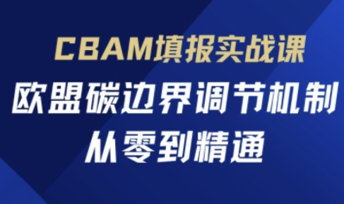 CBAM填报实战课，欧盟碳边界调节机制，从零到精通-清风