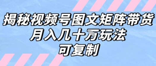 解密视频号图文矩阵带货，月入几个W的打法，可复制-清风