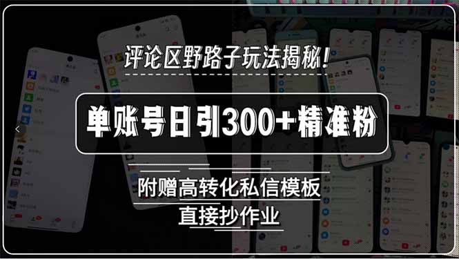 评论区野路子玩法揭秘！单账号日引300+精准粉，附赠高转化私信模板，直…-清风
