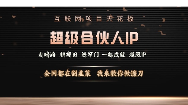 互联网项目天花板，超级合伙人IP，全网都在割韭菜，我来教你做镰刀【仅揭秘】-清风