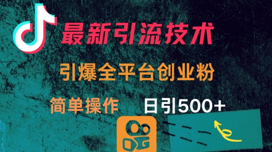 最新引流方法，引爆全平台的一个创业粉，简单操作日引300+-清风