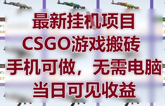 最新挂G项目，CSGO游戏搬砖，手机可做，无需电脑，当日见收益【揭秘】-清风