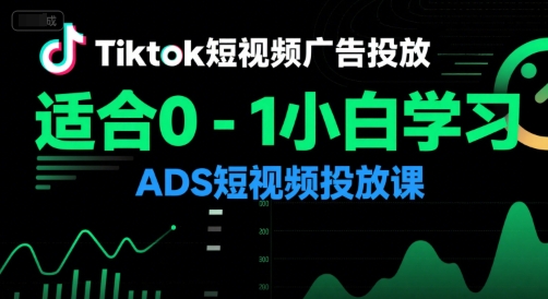 Tiktok短视频广告投放，适合0-1小白学习ADS短视频投放课-清风