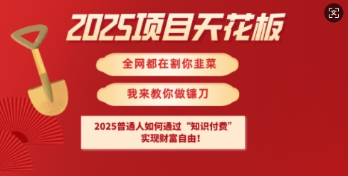 2025项目天花板普通人如何通过知识付费，实现财F自由【揭秘】-清风