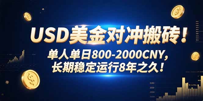 USD美金对冲搬砖!单人单日800-2000CNY，长期稳定运行8年之久!-清风